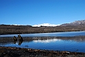 Lago Piccolo di Avigliana ghiacciato_018